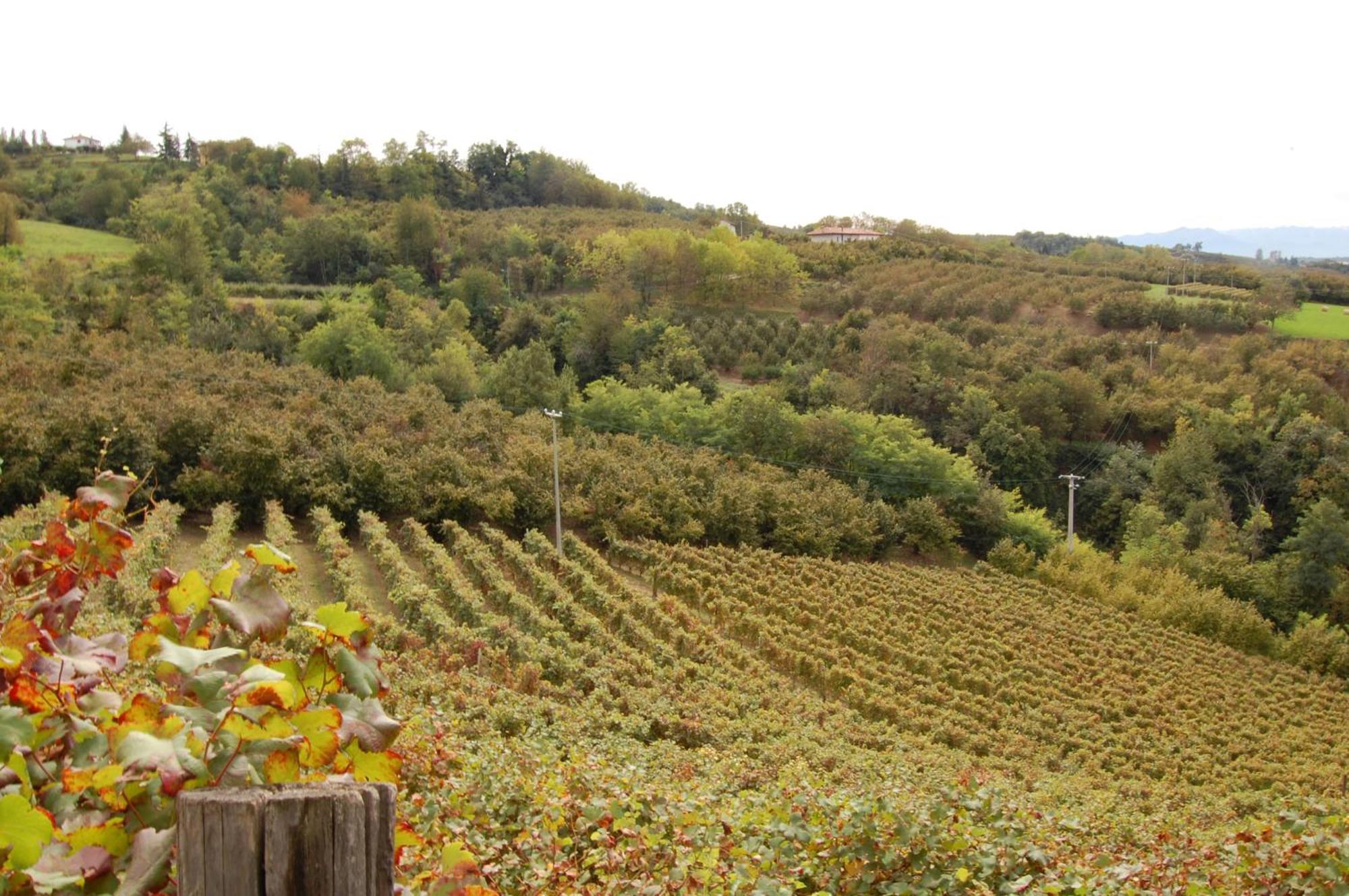 Vila Agriturismo 'D Raine Montelupo Albese Exteriér fotografie